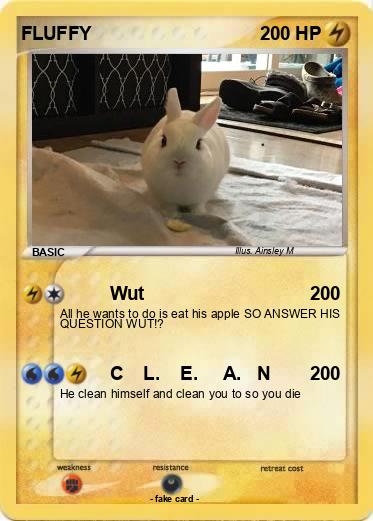 Pokemon FLUFFY