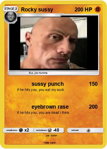 Pokemon Rocky sussy