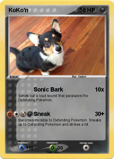 Pokemon KoKo'n