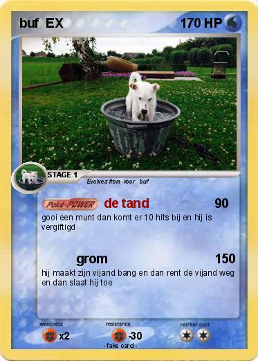 Pokemon buf  EX