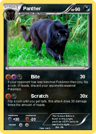 Pokemon Panther