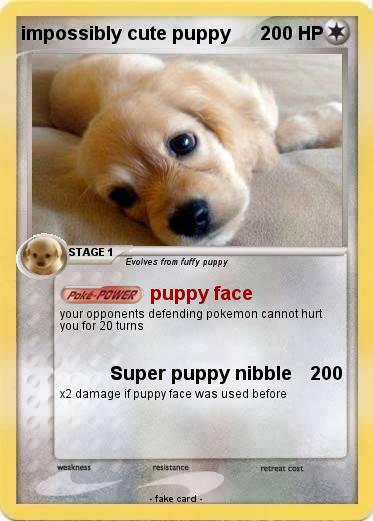 Pokemon impossibly cute puppy