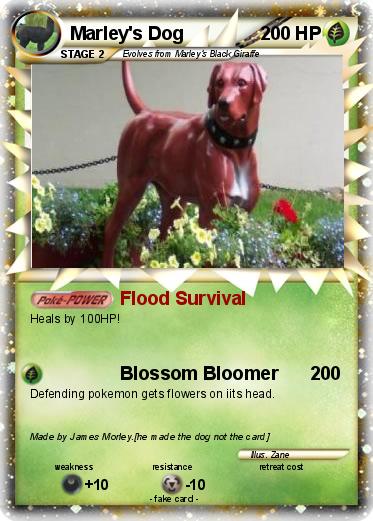 Pokemon Marley's Dog