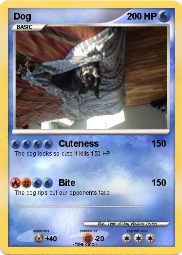 Pokemon Dog