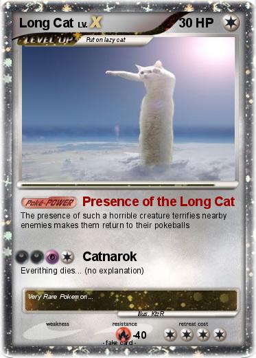 Pokemon Long Cat