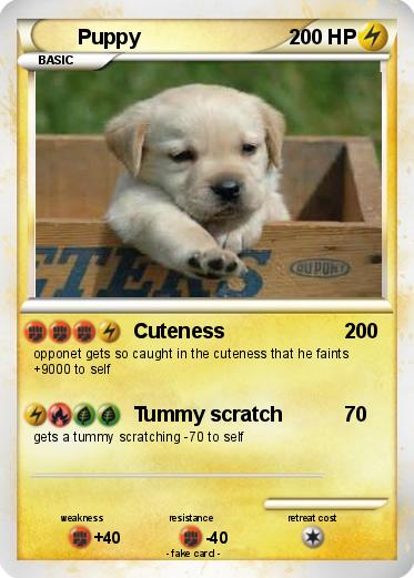 Pokemon Puppy