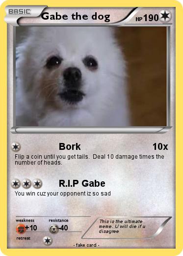 Pokemon Gabe the dog