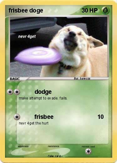 Pokemon Frisbee Doge 1