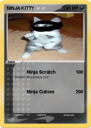 Pokemon NINJA KITTY