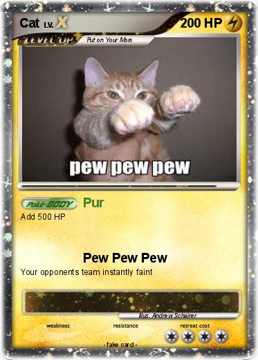 Pokemon Cat