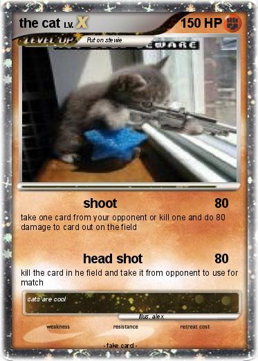 Pokemon the cat