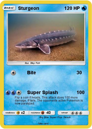 Pokemon Sturgeon