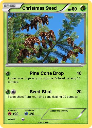 Pokemon Christmas Seed