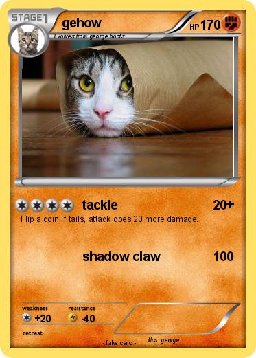 Pokemon gehow