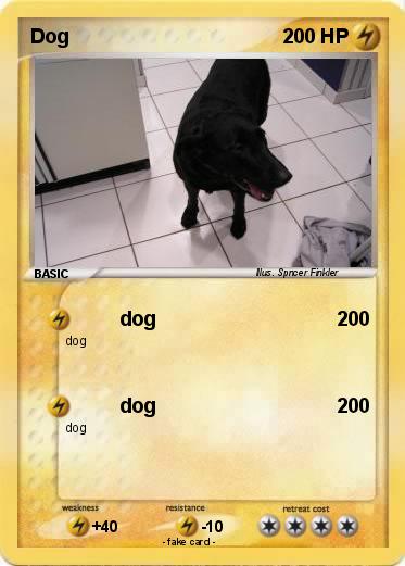 Pokemon Dog