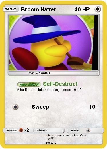 Pokemon Broom Hatter