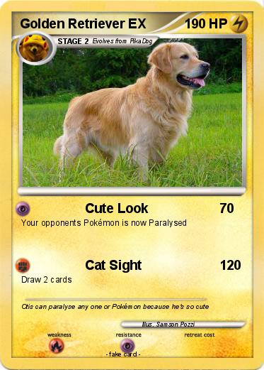 Pokemon Golden Retriever EX
