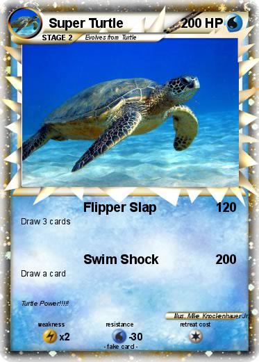 Pokemon Super Turtle
