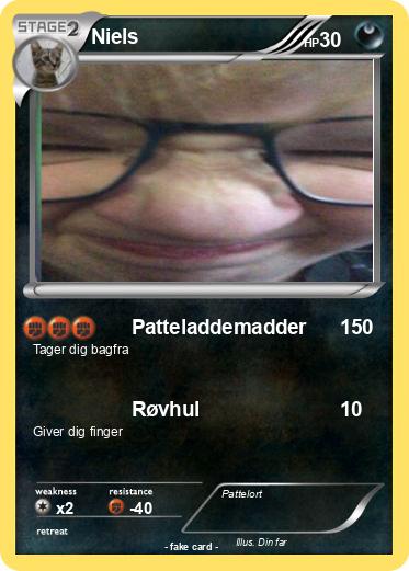 Pokemon Niels