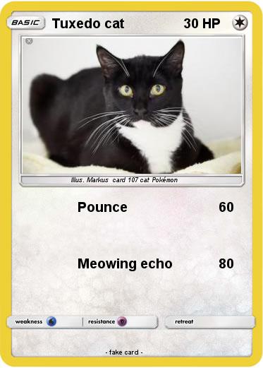 Pokemon Tuxedo cat