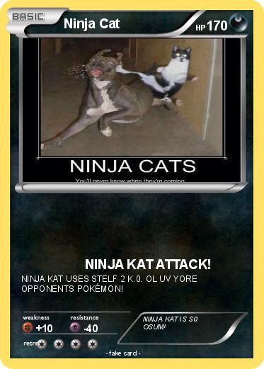 Pokemon Ninja Cat
