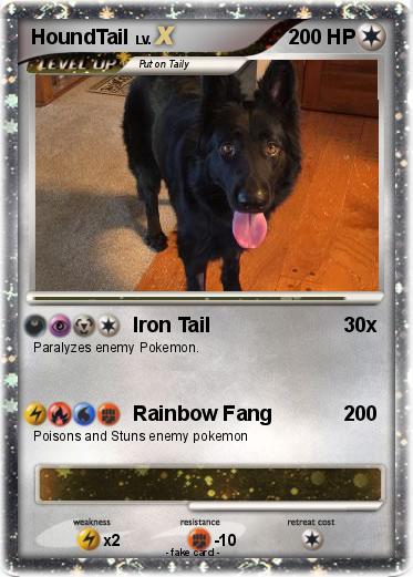 Pokemon HoundTail