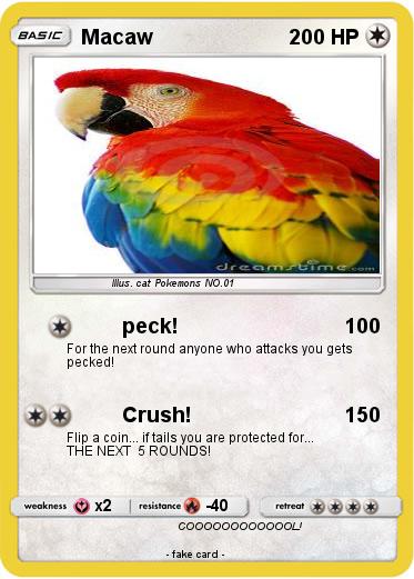 Pokemon Macaw
