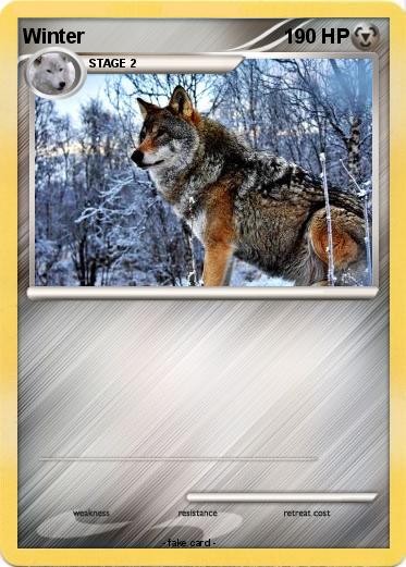 Pokemon Winter