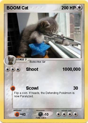 Pokemon BOOM Cat