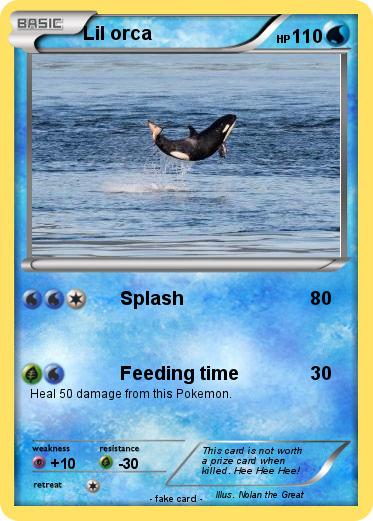 Pokemon Lil orca