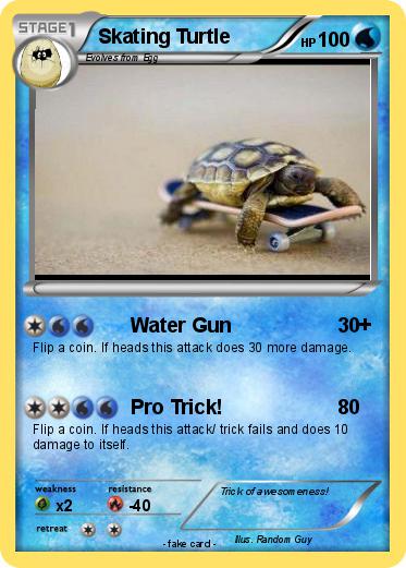 Pokemon Skating Turtle