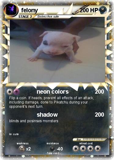 Pokemon felony