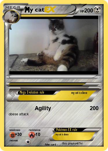 Pokemon y cat