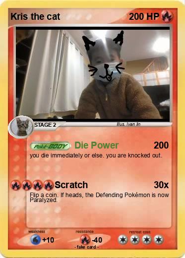 Pokemon Kris the cat