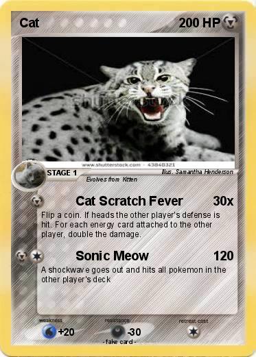 Pokemon Cat