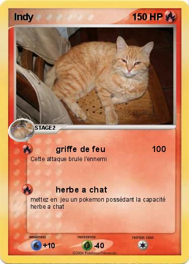 Pokemon Indy