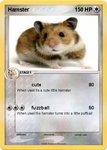 Pokemon Hamster
