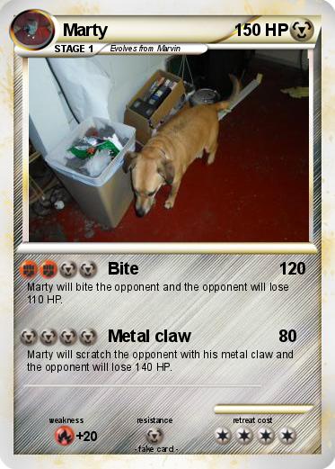 Pokemon Marty