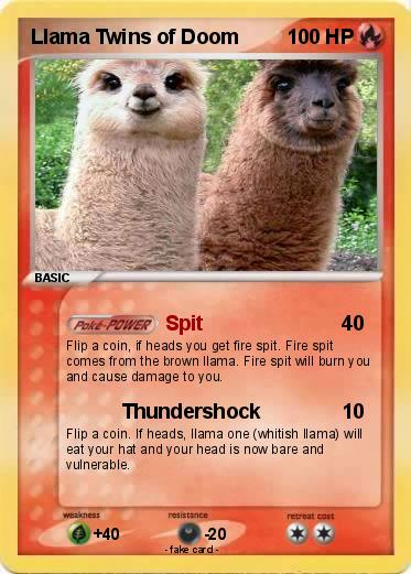 Pokemon Llama Twins of Doom