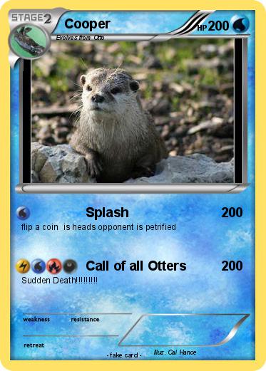 Pokemon Cooper