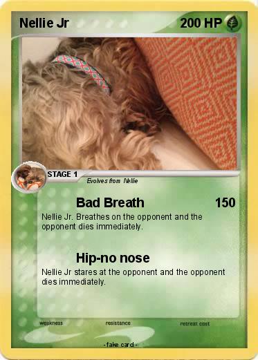 Pokemon Nellie Jr