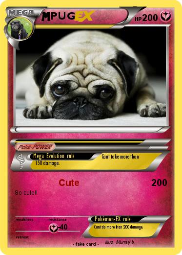 Pokemon PUG