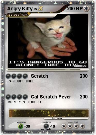Pokemon Angry Kitty
