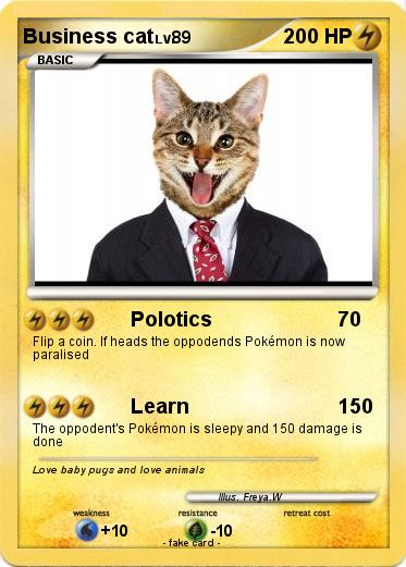 Pokemon Business cat