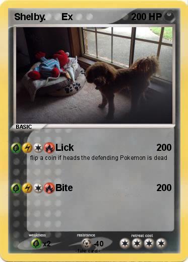 Pokemon Shelby.      Ex