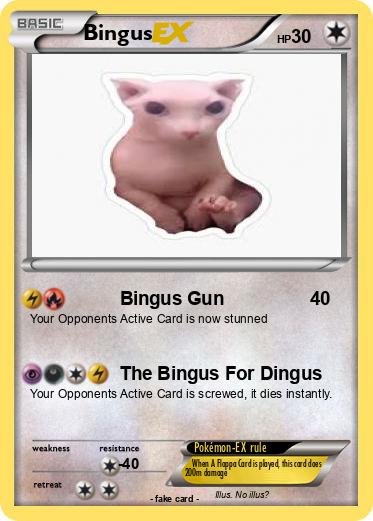 Pokemon Bingus