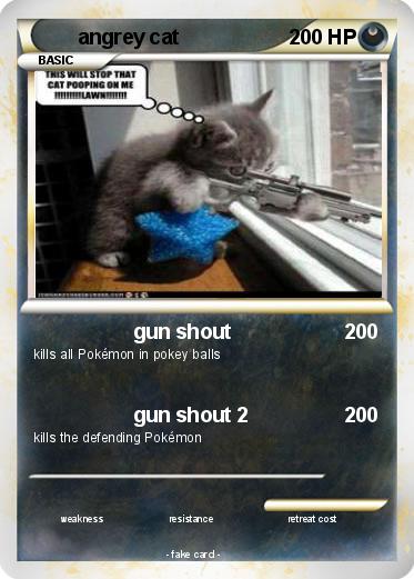 Pokemon angrey cat