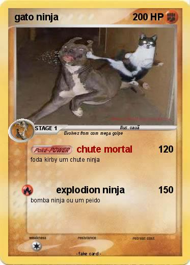 Pokemon gato ninja
