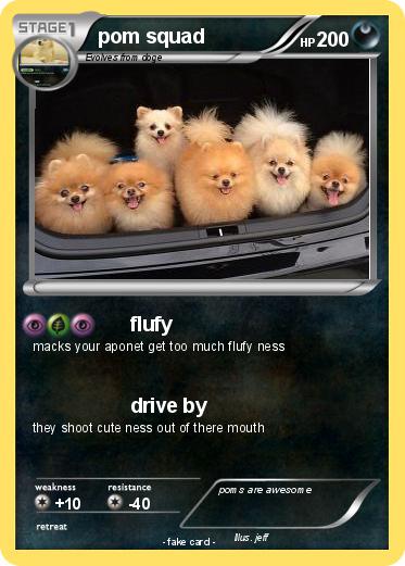 Pokemon pom squad