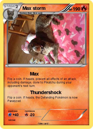 Pokemon Max storm
